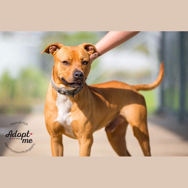 Photo of Justin (Hcc 166)