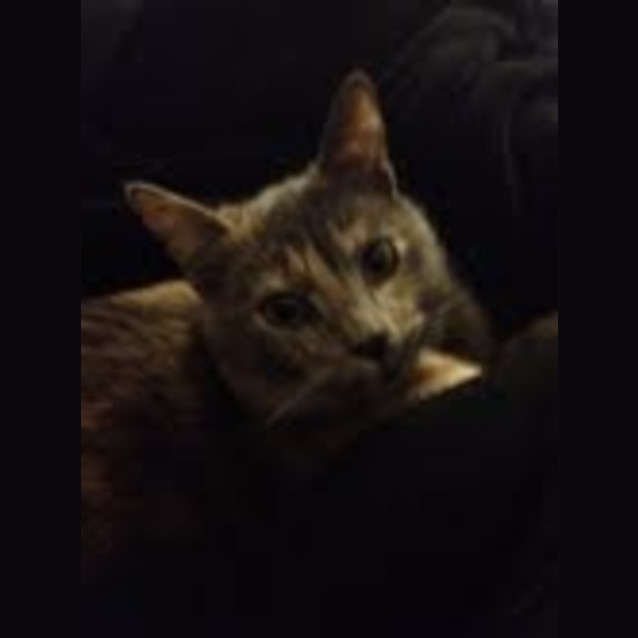Photo of Maya