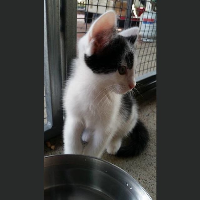 Photo of Zeus