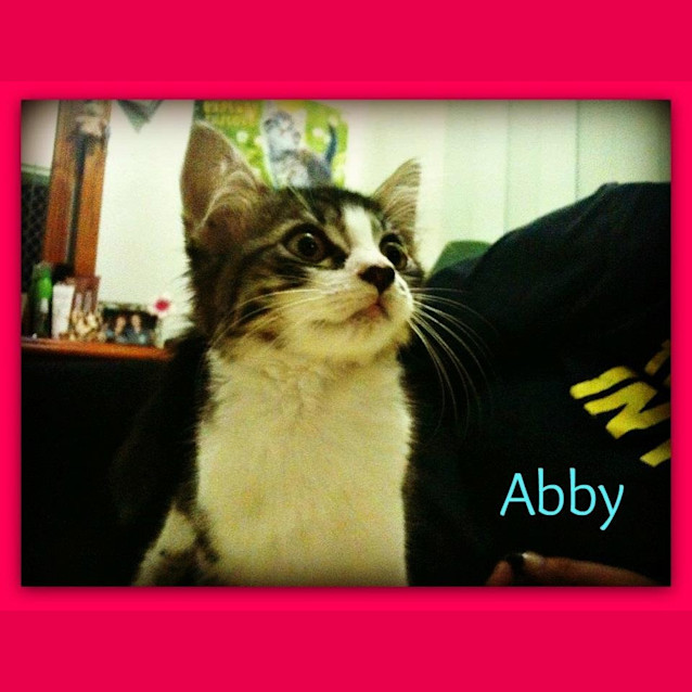 Photo of Abby