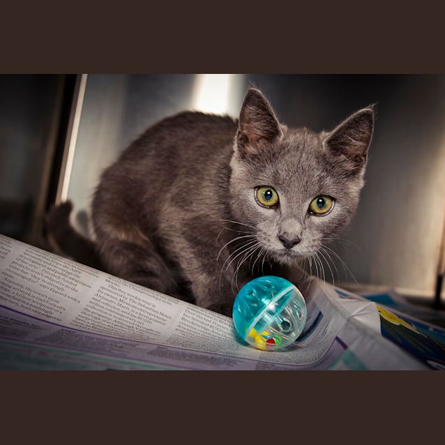 Photo of Skeeter