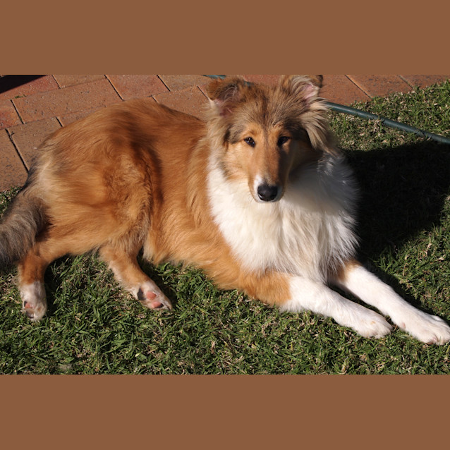 Photo of Caycee