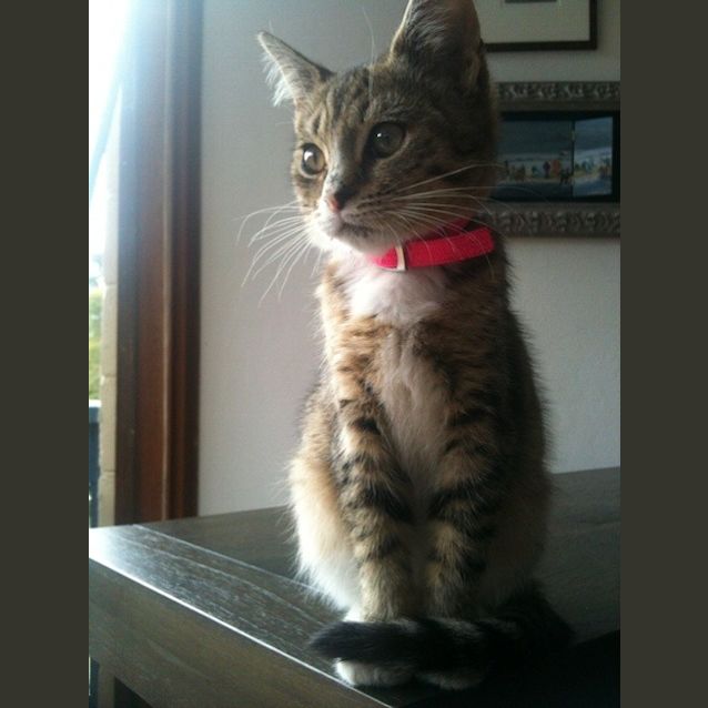 Photo of Lola