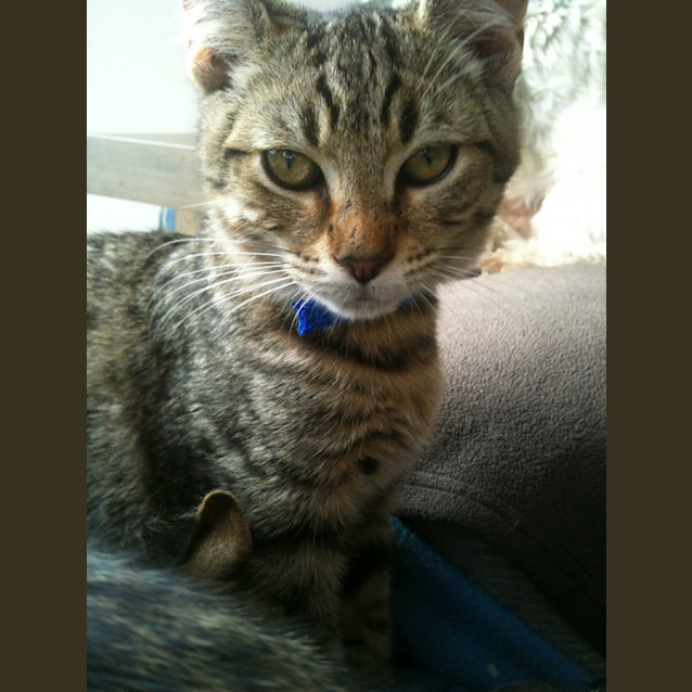 Photo of Leo