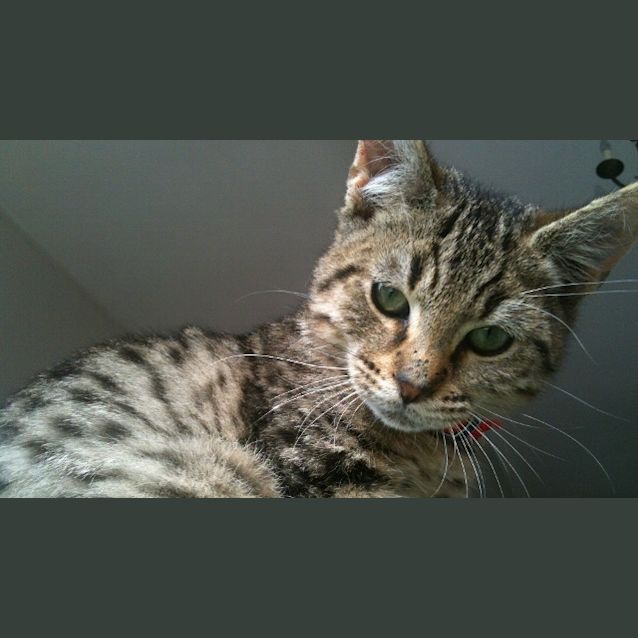 Photo of Levi