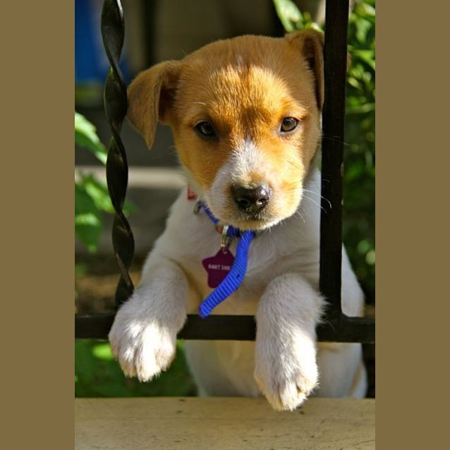 Photo of Colbie (On Trial In My New Home)