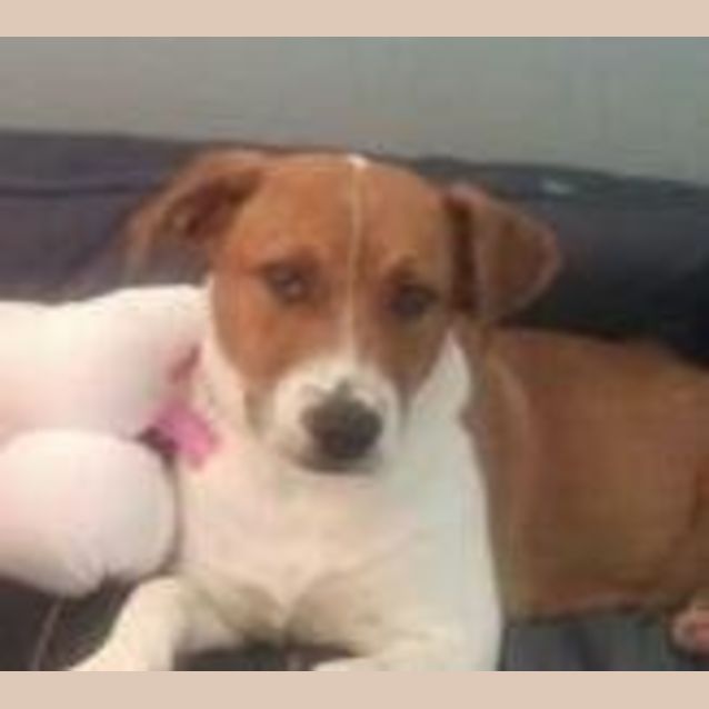Photo of Maggie *On Trial*