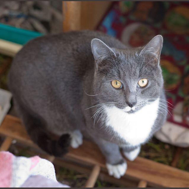 Photo of Benny