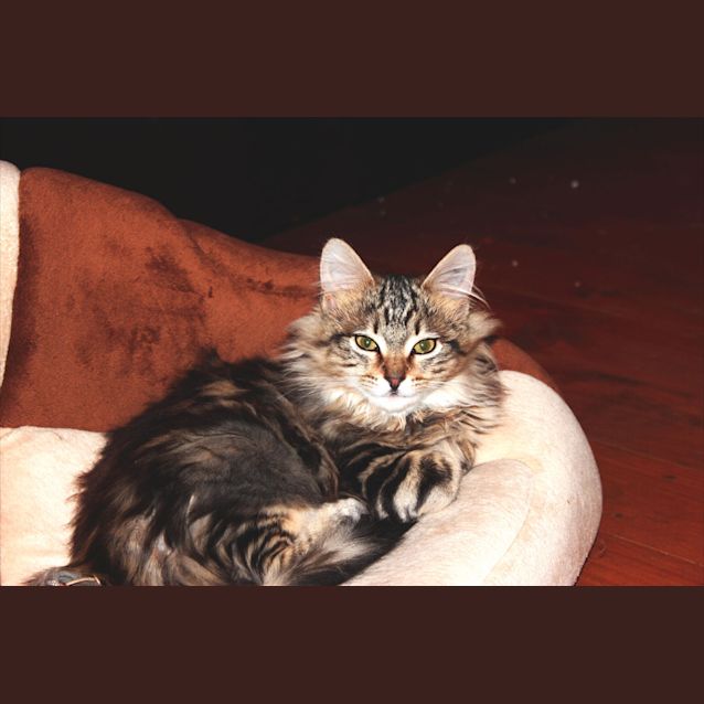 Photo of Leonie 
