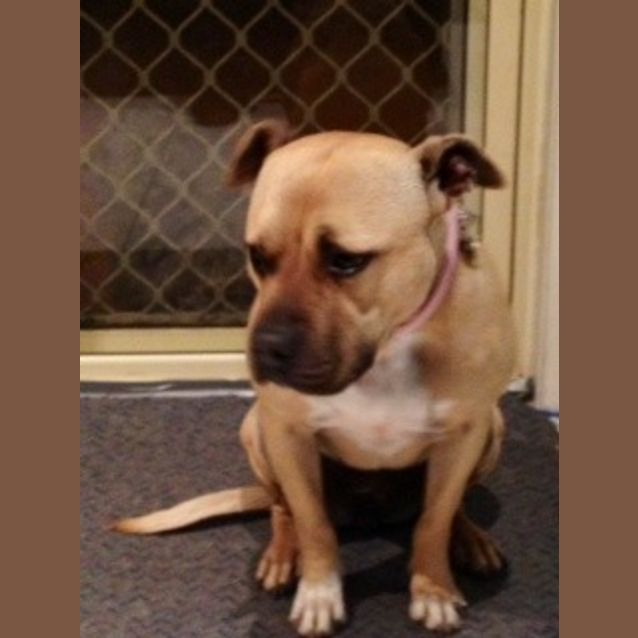 Photo of Olive