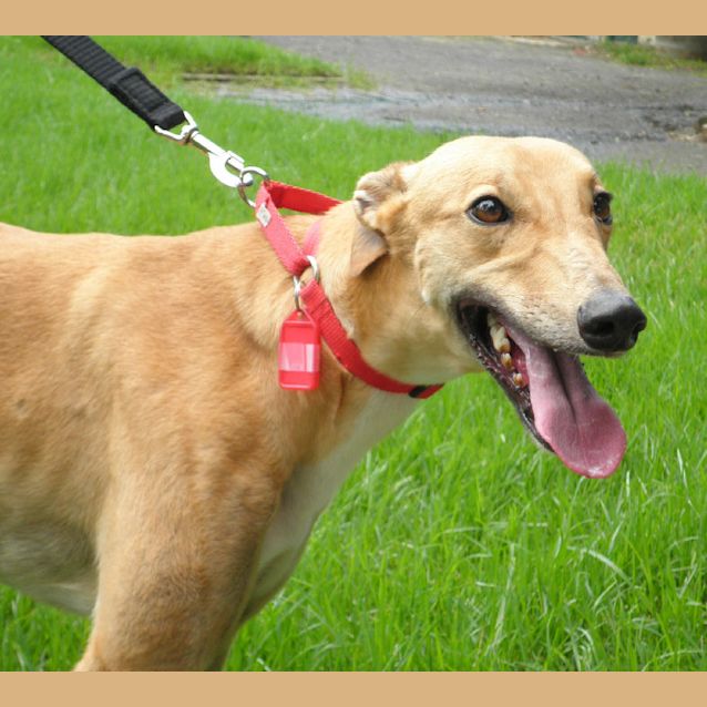 Photo of Madonna   Checking Out My New Home