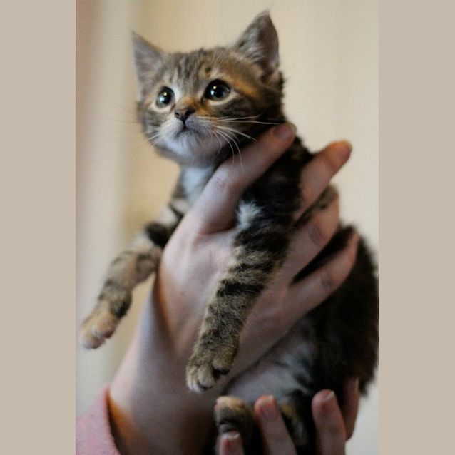 Photo of Lilly