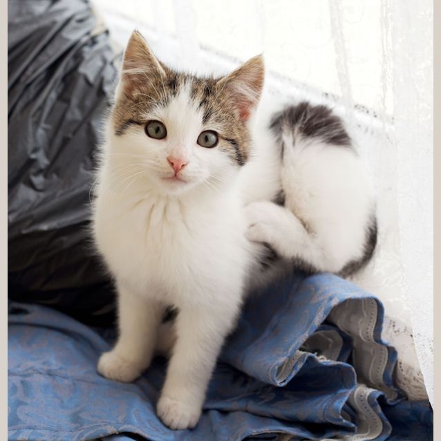 Photo of Harry And Sally