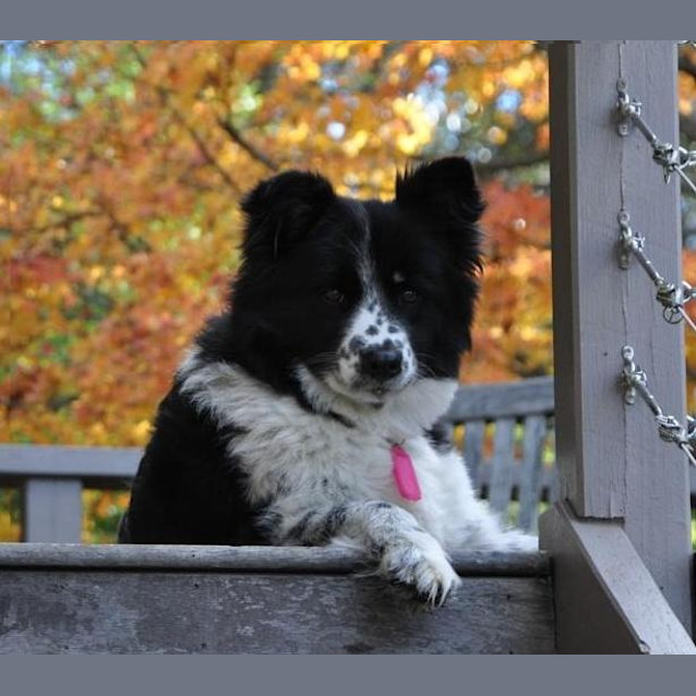 Photo of Chloe