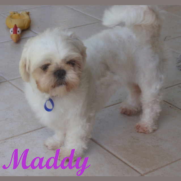 Photo of Maddy (On Trial)