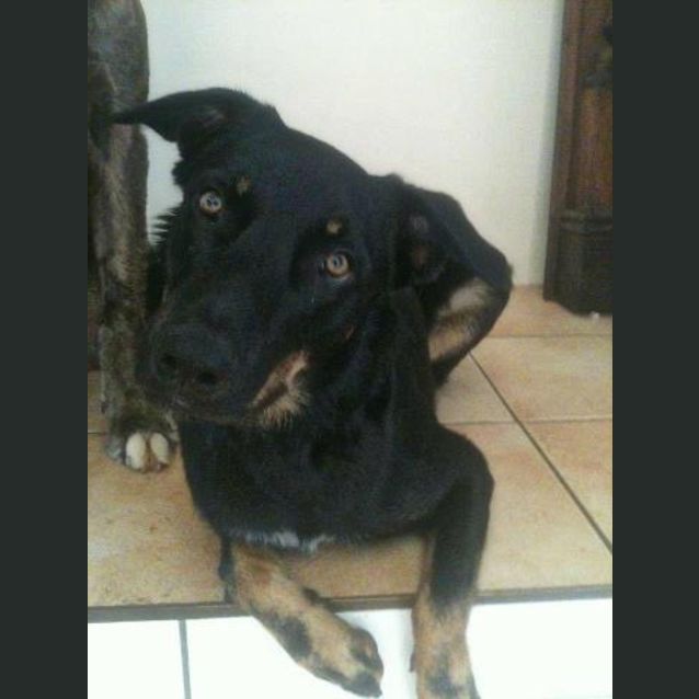 Photo of Max