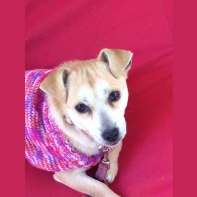 Photo of Matilda ** On Hold For Adoption**