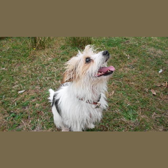 Photo of Rosie