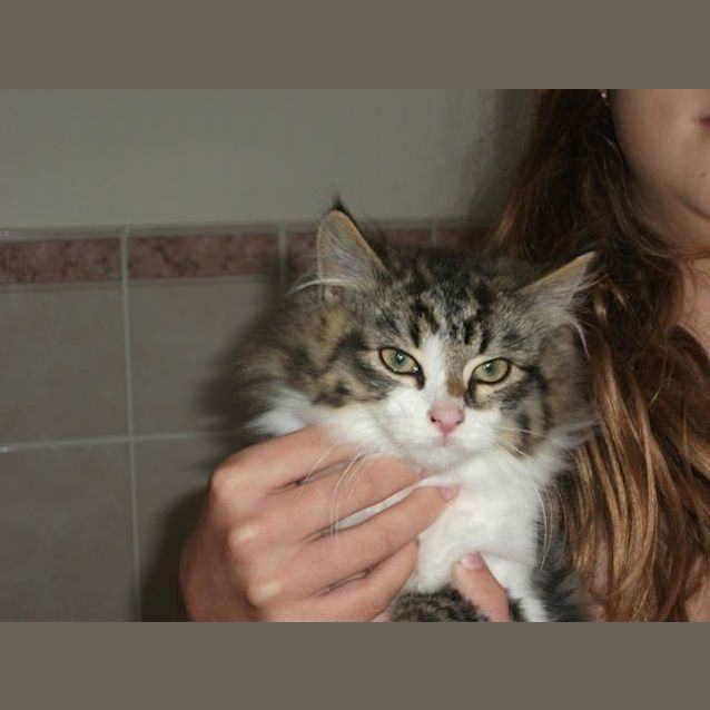 Photo of Monty