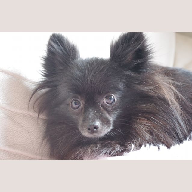 Photo of Betsy
