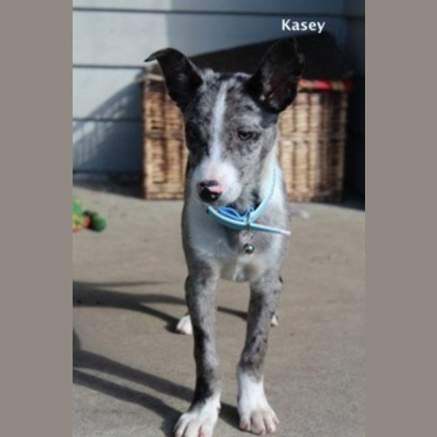 Photo of Kasey