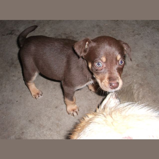 Photo of Violet