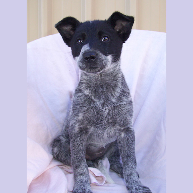 Photo of Milly (On Trial)