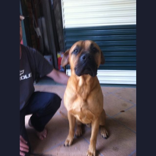 Photo of Winston