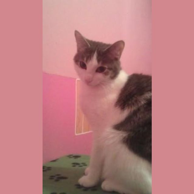 Photo of Kira