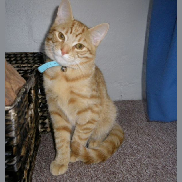 Photo of Cider