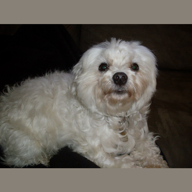 Photo of Sunny