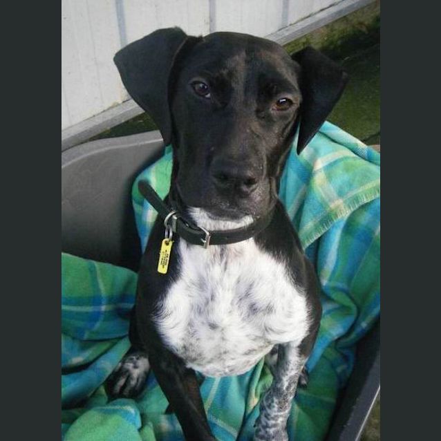 Photo of Max