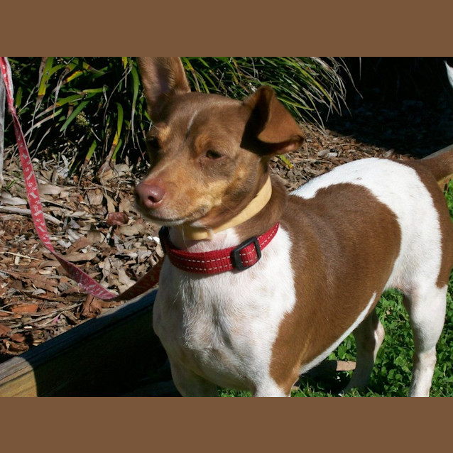 Photo of Cooper