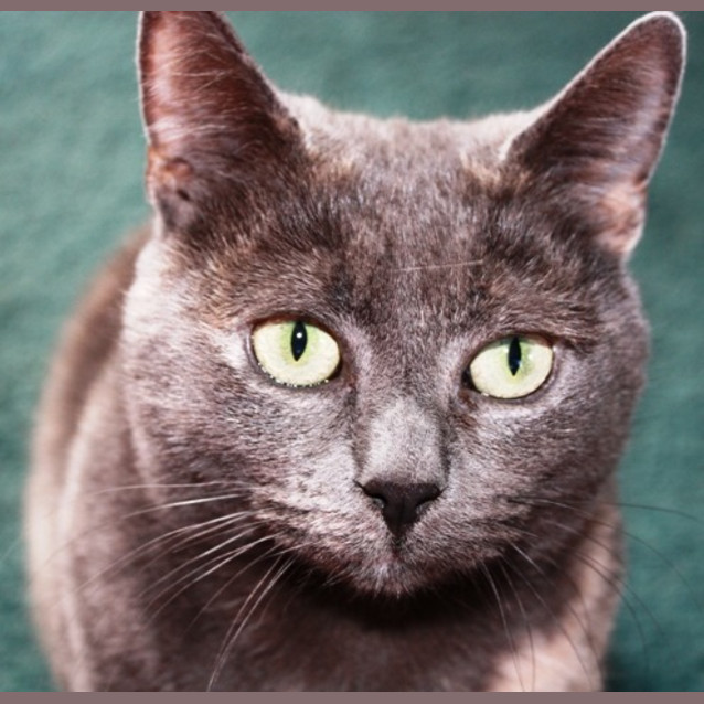 Photo of Lilly