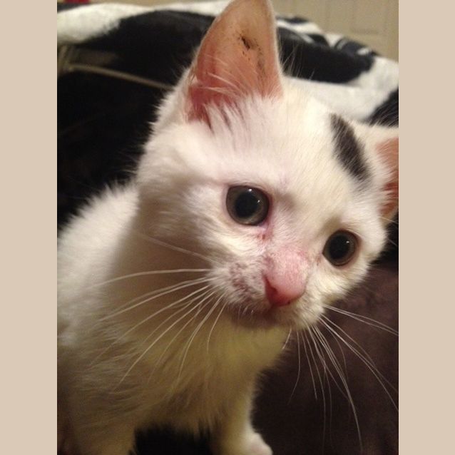 Photo of Astro