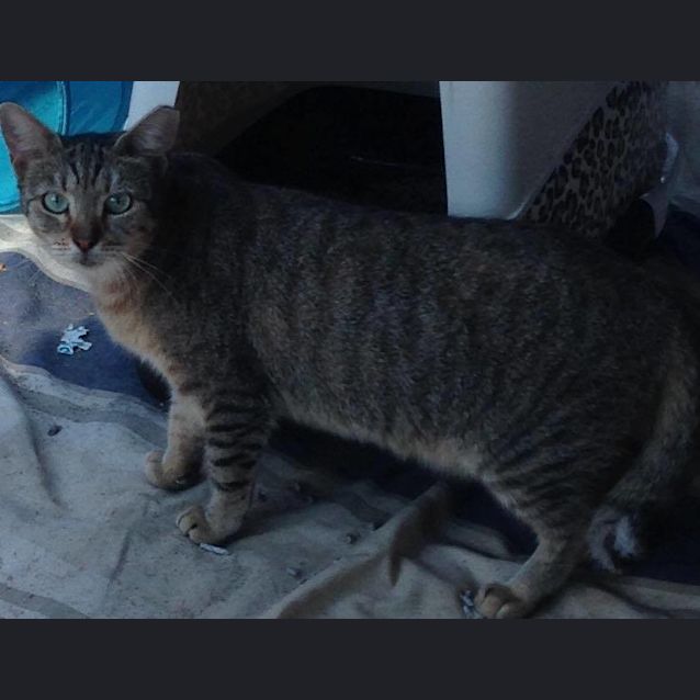 Photo of Sylvia
