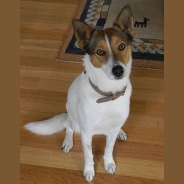 Photo of Lily