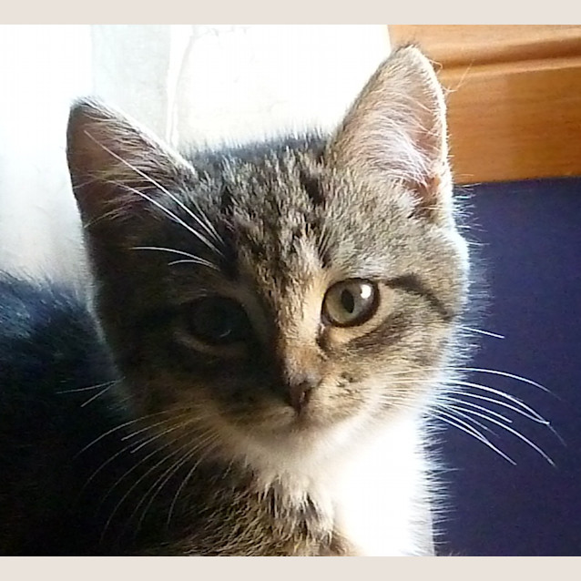 Photo of Alice