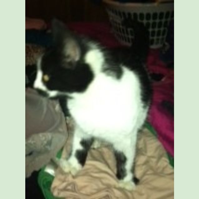 Photo of Groucho