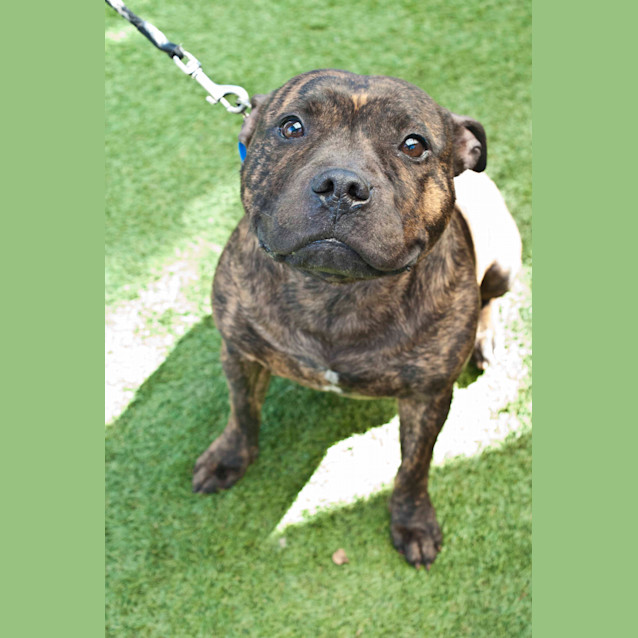 Photo of Jet