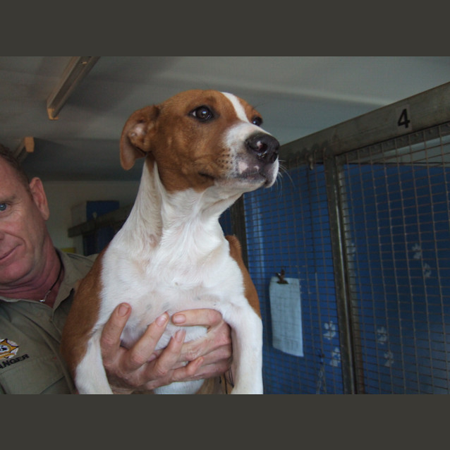 Photo of Dixie
