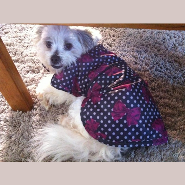 Photo of Summer   On Trial In Her New Home!