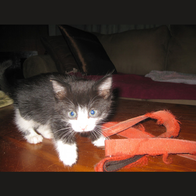 Photo of Muriel