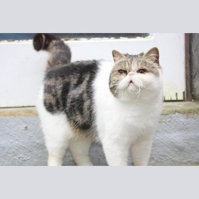 Photo of Tabitha