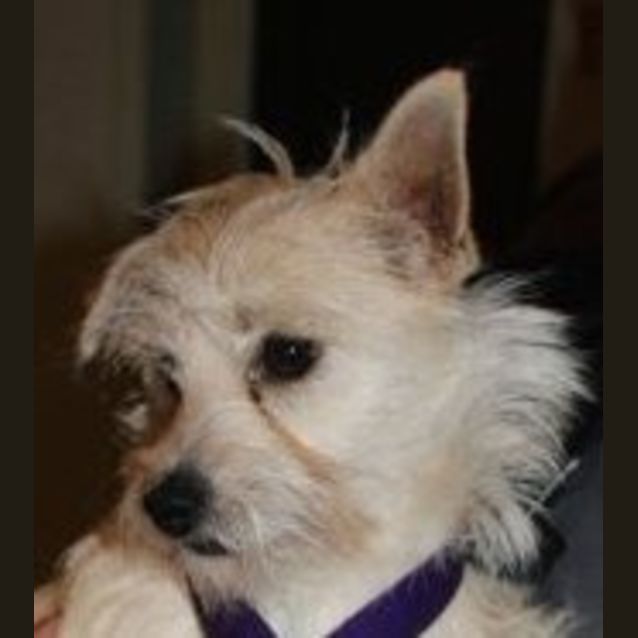 Photo of Kiahna
