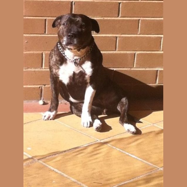 Photo of Maxi
