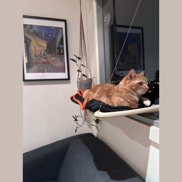 Photo of Bebs   Located In Brunswick East
