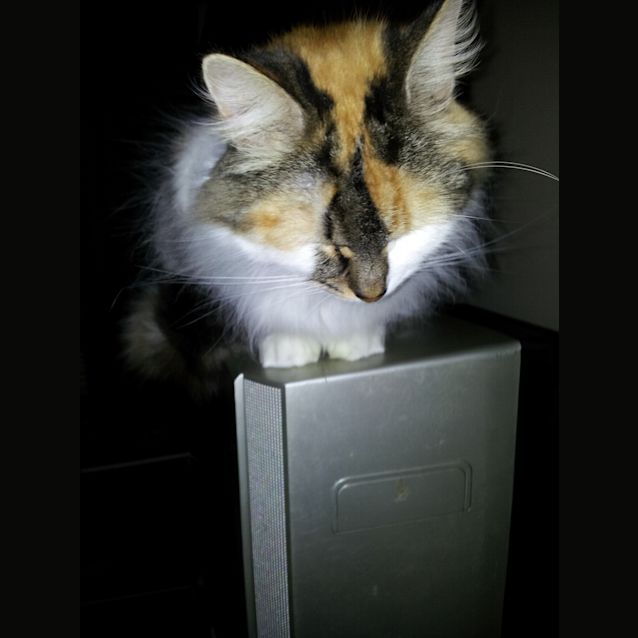 Photo of Mirabella