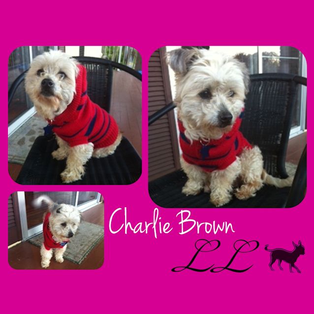 Photo of Charlie Brown