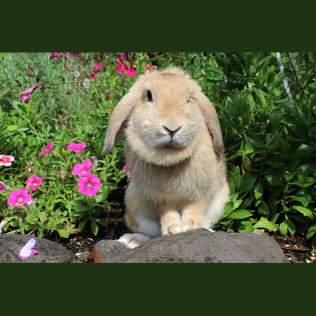 Photo of Winnie